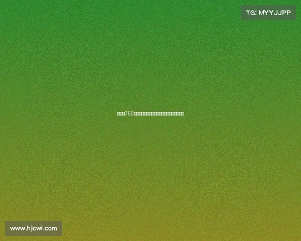 里昂以750万欧签下捷克国脚攻击手舒尔茨强化进攻阵容